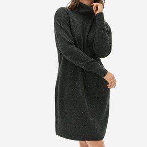 Everlane Cashmere Turtleneck Dress XS